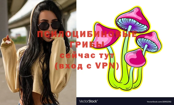 гидропоника Кодинск