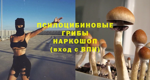 гидропоника Кодинск